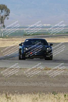 media/May-03-2024-PCA Central Coast (Fri) [[eaa7da0ee1]]/Yellow Group/Session 1 (Grapevine)/